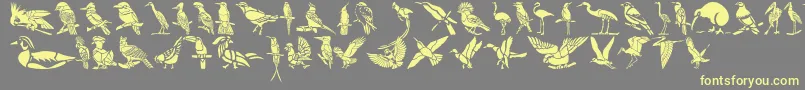 Czcionka HffBirdStencil – żółte czcionki na szarym tle