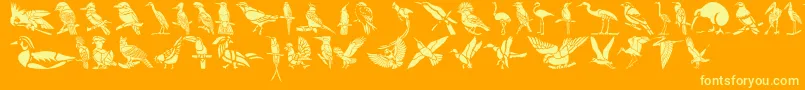 HffBirdStencil-Schriftart – Gelbe Schriften auf orangefarbenem Hintergrund