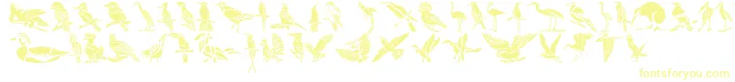 Czcionka HffBirdStencil – żółte czcionki