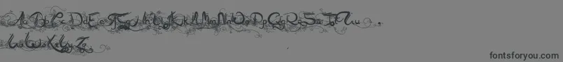 Arabia-Schriftart – Schwarze Schriften auf grauem Hintergrund