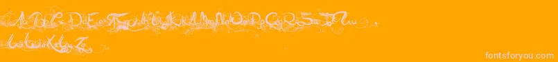 Arabia-Schriftart – Rosa Schriften auf orangefarbenem Hintergrund