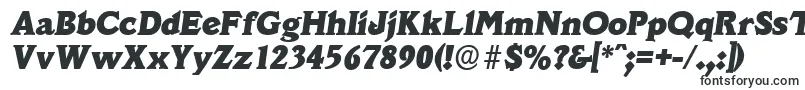 VeracruzserialHeavyItalic Font – Fonts Starting with V