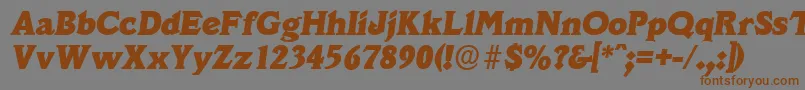 VeracruzserialHeavyItalic Font – Brown Fonts on Gray Background