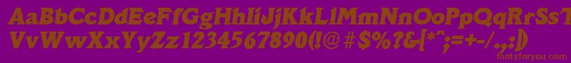 VeracruzserialHeavyItalic Font – Brown Fonts on Purple Background