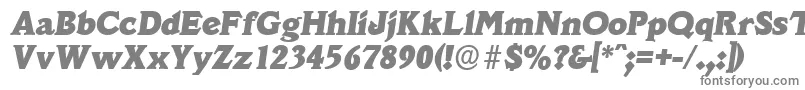 フォントVeracruzserialHeavyItalic – 白い背景に灰色の文字