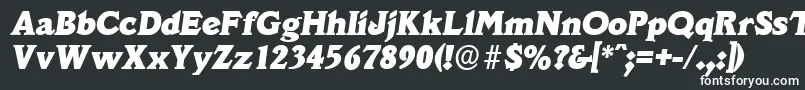VeracruzserialHeavyItalic Font – White Fonts