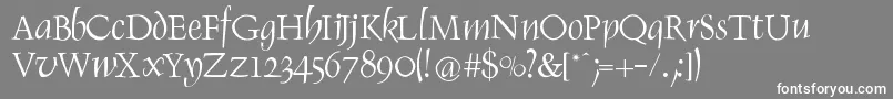 Weitere Informationen zur RenaissItalic-Schriftart RenaissItalic-Schriftart – Weiße Schriften auf grauem Hintergrund
