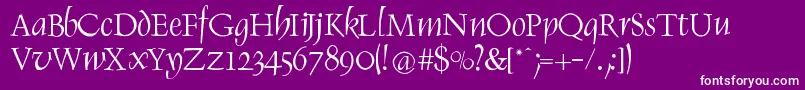 RenaissItalic-Schriftart – Weiße Schriften auf violettem Hintergrund