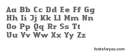 Review of the LinotypeAuthenticSerifBold Font