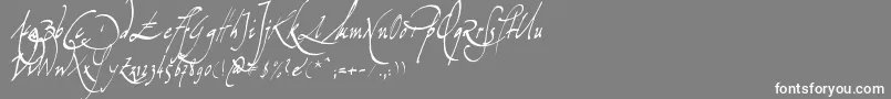 Missiva Font – White Fonts on Gray Background