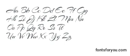 Обзор шрифта Arizonia