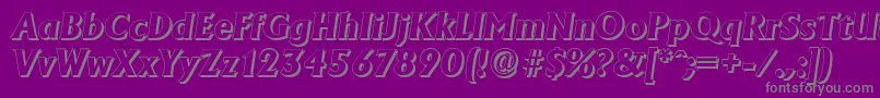 AdelonshadowXboldItalic Font – Gray Fonts on Purple Background