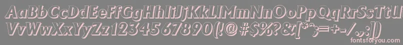 AdelonshadowXboldItalic Font – Pink Fonts on Gray Background