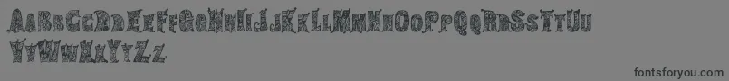 HippiegypsyRegular-Schriftart – Schwarze Schriften auf grauem Hintergrund