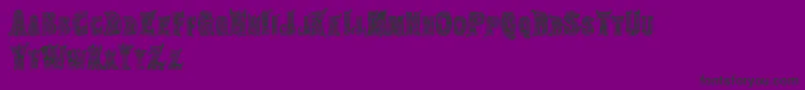 HippiegypsyRegular Font – Black Fonts on Purple Background