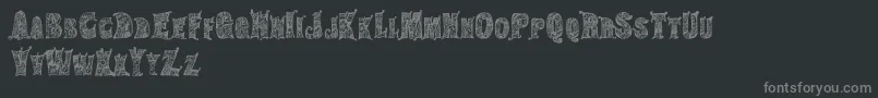 HippiegypsyRegular Font – Gray Fonts on Black Background