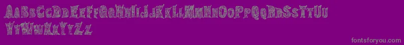 HippiegypsyRegular Font – Gray Fonts on Purple Background