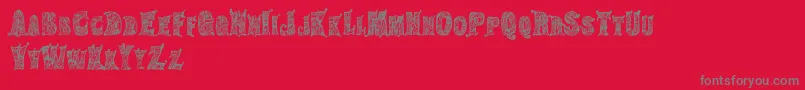 HippiegypsyRegular-Schriftart – Graue Schriften auf rotem Hintergrund