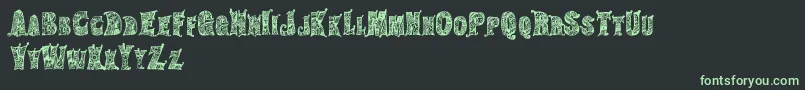 HippiegypsyRegular Font – Green Fonts on Black Background