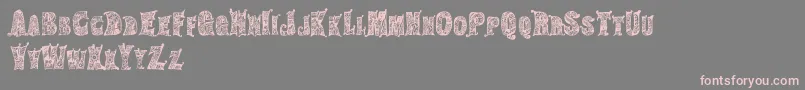 HippiegypsyRegular Font – Pink Fonts on Gray Background