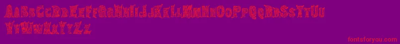 HippiegypsyRegular Font – Red Fonts on Purple Background
