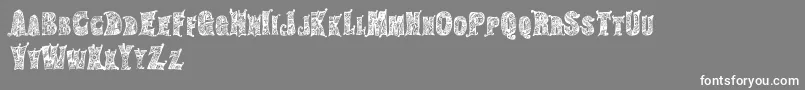 HippiegypsyRegular Font – White Fonts on Gray Background