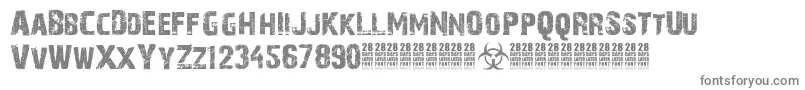 28DaysLaterCyr Font – Gray Fonts on White Background