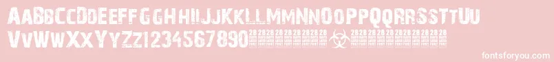 28DaysLaterCyr Font – White Fonts on Pink Background