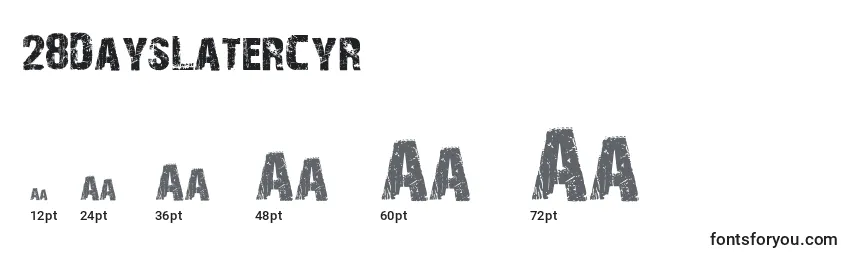 28DaysLaterCyr Font Sizes