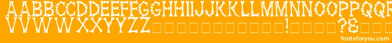 HeadhunterMedium Font – White Fonts on Orange Background