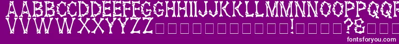 HeadhunterMedium Font – White Fonts on Purple Background