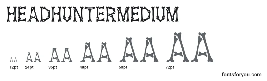 HeadhunterMedium Font Sizes