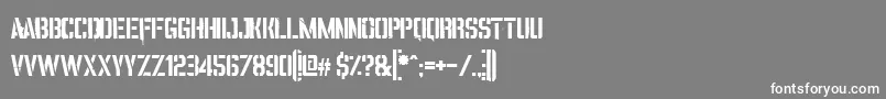 VincaStencil Font – White Fonts on Gray Background