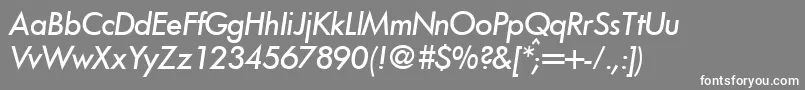 FunctiontwomediumRegularitalic Font – White Fonts on Gray Background