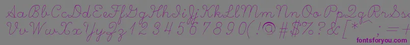 Scripts Font – Purple Fonts on Gray Background