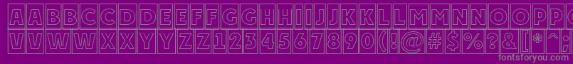 APlakattitulcmotl Font – Gray Fonts on Purple Background