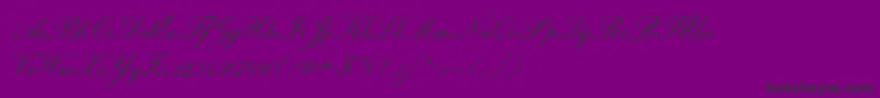 Regencyscriptflf Font – Black Fonts on Purple Background