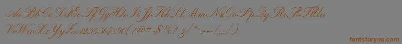Regencyscriptflf-fontti – ruskeat fontit harmaalla taustalla