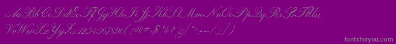 Regencyscriptflf Font – Gray Fonts on Purple Background