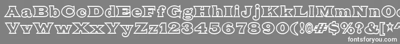 FatLegsOutline Font – White Fonts on Gray Background