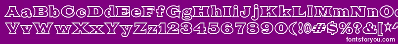 FatLegsOutline Font – White Fonts on Purple Background