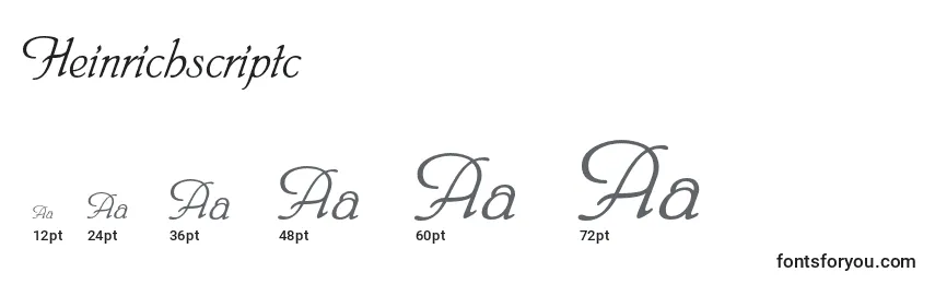 Heinrichscriptc Font Sizes