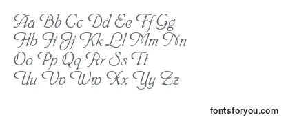 Обзор шрифта Heinrichscriptc