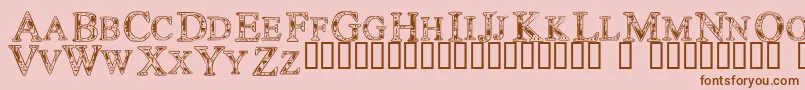 Techc Font – Brown Fonts on Pink Background