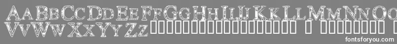 Techc Font – White Fonts on Gray Background