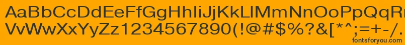 Шрифт Pragmaticactt115n – чёрные шрифты на оранжевом фоне