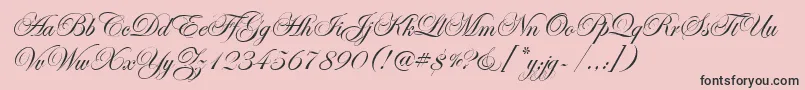 EdwardianScrItcTt Font – Black Fonts on Pink Background