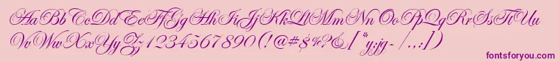 EdwardianScrItcTt Font – Purple Fonts on Pink Background