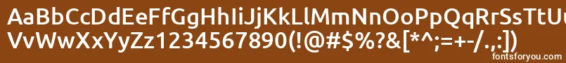 フォントUbuntuMedium – 茶色の背景に白い文字