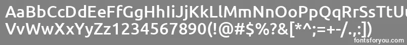 フォントUbuntuMedium – 灰色の背景に白い文字